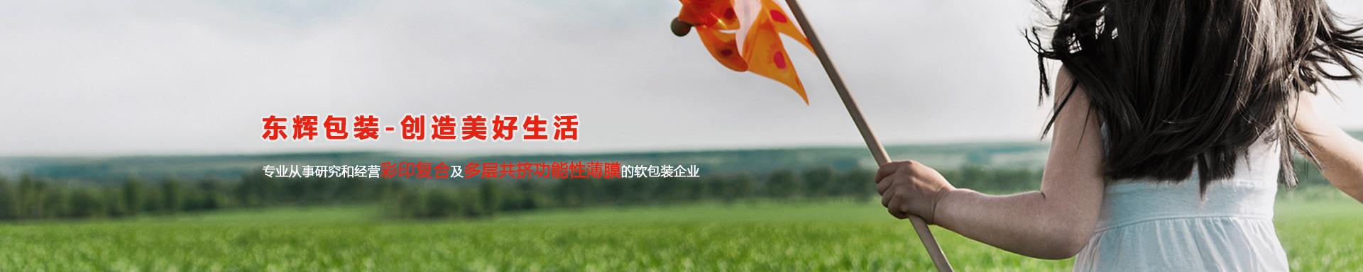 复合彩印包装厂家 复合彩印包装厂家